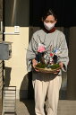 盆栽お祝い紅白梅桜盆栽贈り物盆栽信楽鉢入り盆栽2022年開花の福寿草寄せ植え 紅白梅
