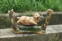ハンモック ドッグ いい気持ちだ ウェルカム
