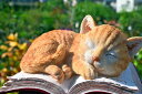 BOOK CAT　猫　本　ネコねこの置物　置物　可愛い置物お庭や玄関に置くとgood。