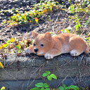 伏せ柴B 柴犬 ふうたくん置物 かわいい置物 犬の置物茶柴 犬 子犬お庭や玄関に飾るとgood!本物のような置物