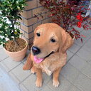 レトリーバーB　犬置物　リアルな置物　犬の置物アンちゃん　大きい犬　番犬にお庭や玄関に飾るとgood！本物のような置物