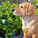 犬　レトリーバー　子犬　カール置物　リアルな置物　犬の置物お庭や玄関にどうぞ。本物のような置物。