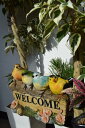 ウェルカムバ−ド　かわいい4羽の小鳥WELCOME 　鳥　4羽南国のイメージ　
