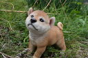秋田犬置物 かわいい置物 犬の置物秋田犬 あずきちゃんお庭や玄関に飾っても、お部屋のインテリアとしてもおすすめです。