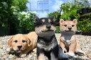 犬 子犬 3個セット置物 かわいい置物 犬の置物柴犬 ラブラドールお庭や玄関、お部屋にも合います。プレゼントにもどうぞ。