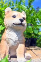 豆柴　柴犬　犬　マメシバ豆柴の置物　置物　かわいい置物　犬の置物小さい犬　子犬　柴田さんお庭や玄関に合います。プレゼントにもどうぞ。