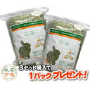 牧草市場　USチモシー3番刈り牧草スーパーソフト1kg(500g×2パック)（ソフトチモシー）