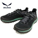 サレワ SALEWA MS WANDER HIKER GTX 63460 〔0499/Black Out/Berly Green〕 シューズ メンズ ゴアテックス GORE TEX 完全防水 レインシューズ アウトドア トレッキングシューズ 送料無料 2017春夏新作 【あす楽対応】