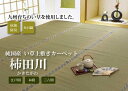 純国産 い草 上敷き カーペット 糸引織 『柿田川』 本間3畳(約191×286cm)<イケヒコ>