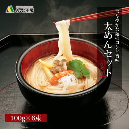 太めん 無添加 100g 6束 セット うどん ひやむぎ 麺 お試し 食品 個包装 乾麺 常温 保存 麺類 グルメ 食べ物 6食 6人前 無着色 保存食 非常食 小麦粉 塩 風味 うまみ 鍋 つゆ 薬味 調理 料理 <strong>のどごし</strong> 送料無料 <strong>即日発送</strong> メール便 太麺 会津製麺 ネコポス 旬食福来