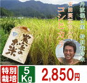 【特別栽培米】コシヒカリ5kg兵庫県丹波篠山産・29年度産 お米