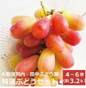 \ ポイント5倍 / 田中ぶどう園特選・樹上完熟極上ブドウ詰め合わせ(大)ぶどう箱 高級ぶどう 巨峰 種無し ピオーネ サニードルチェ ゴルビー 赤ぶどう 敬老の日 プレゼント 果物 ギフト