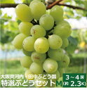 \ ポイント5倍 / 田中ぶどう園特選・樹上完熟極上ブドウ詰め合わせ(中)ぶどう箱 巨峰 種無し ピオーネ サニードルチェ ゴルビー 赤ぶどう 敬老の日 プレゼント 果物 ギフト