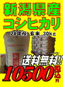 28年産新潟県産 コシヒカリ 玄米 30kg お米 【smtb-TD】【saitama】【あす楽_土曜営業】【あす楽_日曜営業】【送料無料】【精米無料】【楽ギフ_のし】【楽ギフ_のし宛書】 02P05Nov16