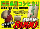 福島県産 コシヒカリ 玄米 30kg 検査1等米 平成28年産 お米 精米無料 送料無料【smtb-td】【saitama】【HLS_DU】【マラソン201509_1000円】【楽ギフ_のし】【楽ギフ_のし宛書】 02P05Nov16