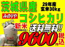 新米29年産 茨城県産コシヒカリ玄米30kg送料無料 無料精米 【smtb-TD】【saitama】【あす楽_土曜営業】【あす楽_日曜営業】【HLS_DU】 【マラソン201509_1000円】【楽ギフ_のし】【楽ギフ_のし宛書】 02P05Nov16