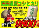 新米!福島県産 コシヒカリ 玄米 30kg 検査1