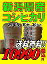 29年産新潟県産 コシヒカリ 玄米 30kg お米 【smt...