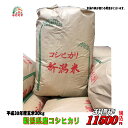 30年産新潟県産 コシヒカリ 玄米 30kg お米 【smt...