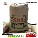 30年産 茨城県産コシヒカリ玄米30kg送料無料 無料精米...