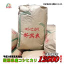 30年産新潟県産 コシヒカリ 玄米 30kg お米 【smtb-TD】【saitama】【あす楽_土曜営業