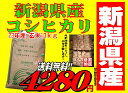 平成23年産　新潟県産こしひかり玄米10kg検査米 【送料無料】【精米無料】02P23Jul12