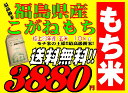 　平成23年産最高級　福島県産こがねもち米　検査玄米10kg　送料無料　精米無料　02P23Jul12