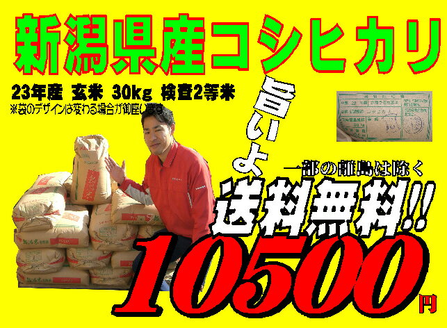 平成23年産　新潟県産こしひかり玄米30kg検査米 【smtb-TD】【saitama】【あす楽_土曜営業】【あす楽_日曜営業】【送料無料】【精米無料】02P23Jul12【あす楽対応_東北】【あす楽対応_関東】【あす楽対応_甲信越】【あす楽対応_北陸】【あす楽対応_東海】【あす楽対応_近畿】　