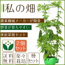 【2個セット】【私の畑】家庭菜園セット　家庭菜園キット　栽培セット　家庭栽培　菜園　栽培　ガーデニング　水耕栽培　プランター　肥料　土　ハイポネックス　苗　種　エクセルソイル