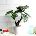 ミニモンステラ H24 観葉植物 造花 インテリア ミニ観葉 光触媒/CT触媒 フェイクグリーン