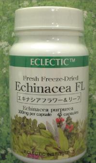 ハーブサプリメント　エキナセア（花・葉）【45cp】 (レビューキャンペーン)エクレクティック社風邪の季節に、免疫力の低下に