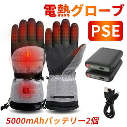 電熱グローブ バイク レディース 防水 電熱ヒートグローブ <strong>ヒーターグローブ</strong> usb 保温手袋 暖房手袋 グローブ 電熱手袋 防寒グローブ 充電式 バッテリー 送料無料 サイクリング スキー スケート ハイキング ハンティング