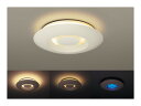 ♪Panasonic HHFZ4397♪ 取寄せとなります【送料無料】【代引手数料無料】 パナソニック シーリングライト 8畳?12畳用 ※明るめ8畳?10畳 『ツインPa』 D.style ディ・スタイル LED常夜灯搭載 リモコン付