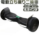 送料無料 8.5インチ電動二輪車 オフロード仕様 バランスホ...