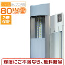 ledu 288A ̔ 2{̖邳 40W^2 80W 120cm x[XCg ̌^ t PSE PLیu1{vF  1Nۏ