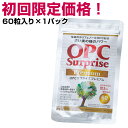 初回限定 むくみ サプリ サプリメント ケア むくみ解消 ム...