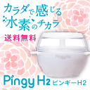 ピンギーH2】ポイント10倍(2,890ポイント)電気を使わ...