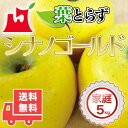 送料無料 青森県産 葉とらずシナノゴールド ご家庭用5kg (約14〜18個)人気の訳ありリンゴ 青森産 訳あり