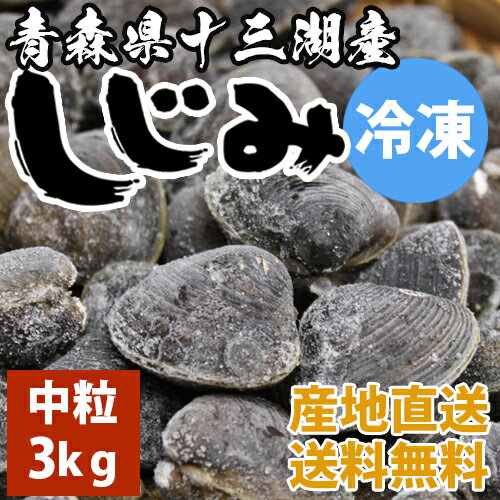 送料無料　青森県十三湖　冷凍しじみ中粒 3kg（ヤマトシジミ）砂抜き済み　国産