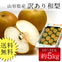 送料無料 訳あり和梨 5kg (10-22玉前後