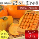 【送料無料】山形県産庄内柿 5kg(30〜37玉前後)※訳あ...