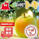 送料無料 青森県産 葉とらずトキ ご家庭用5kg (約14〜...