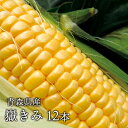 送料無料 嶽きみ 青森県が誇るプレミアムとうもろこし12本セ...