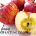 送料無料 青森県産 葉とらずふじ ご家庭用10kg (約28~36個)人気の訳ありリンゴ 青森産 訳あり サンふじ りんご 林檎 ふじ