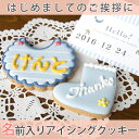 出産内祝い クッキー キュートな名入れのお菓子 名入れ お返し 内祝い 子どもの名前入りアイシングクッキー・ベイビーセットA(出産祝いのお返し/出産内祝い/名入れギフト/スイーツ/初節句内祝い/洋菓子セット/ランキング/ギフト)