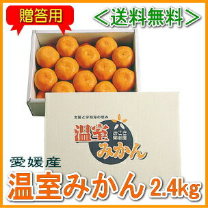【送料無料】＜愛媛産：贈答用＞こつぶ温室みかん2.4kg（35〜45玉）夏限定の柑橘！