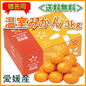 【送料無料】＜愛媛産：贈答用＞温室みかん3kg（S〜M玉）