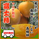 大箱10kgで【送料無料】希少な高級柿★富士柿最安値に挑戦!(大箱10kg)発祥の地・愛媛県八幡浜より
