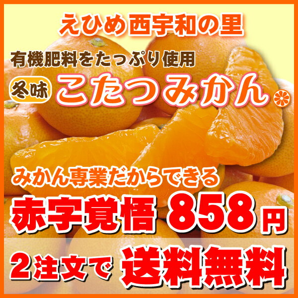 【本日特別ポイント5倍】えひめ西宇和みかんの聖地でみかん専業だから858円！！冬味・こたつみかん赤字覚悟の最安値に挑戦！ブランド産地愛媛西宇和産・最終価格10kgで送料無料2,574円、