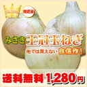 赤字覚悟送料無料で2.5kgも入って1,280円★他では買えない!グルメなプレミアム【みさき王冠玉ねぎ】限定品オリジナル自家栽培・2注文で大増量サービス玉ねぎ10kg